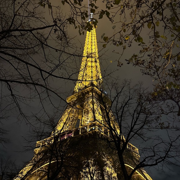 Meet your Posher, Reese - Picture 1 of 1